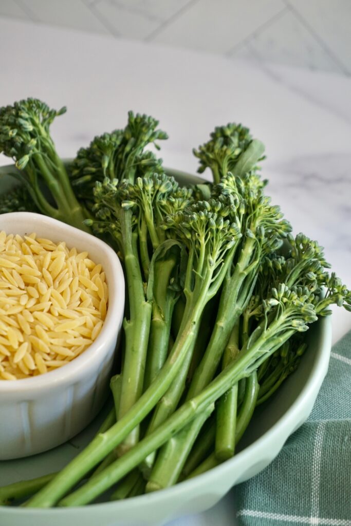 Broccoli and Cheese Orzo, Kid Friendly in Minutes Humble Oven