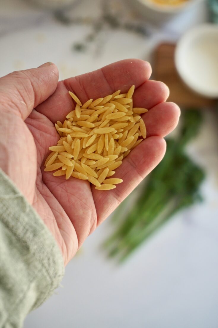 Broccoli and Cheese Orzo, Kid Friendly in Minutes Humble Oven