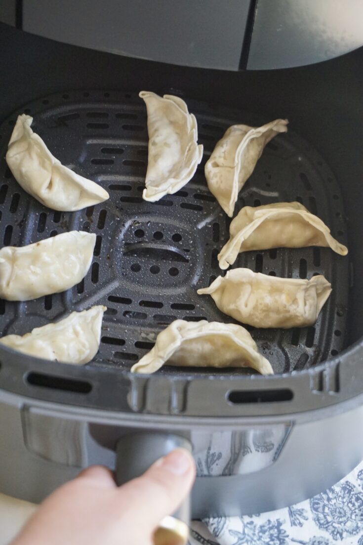 Air Fryer Frozen Dumplings Humble Oven